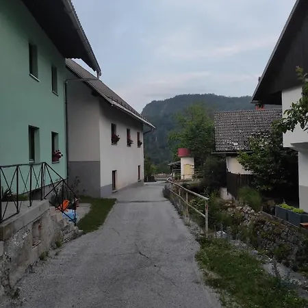 Zelena Hisa Pri Bjov