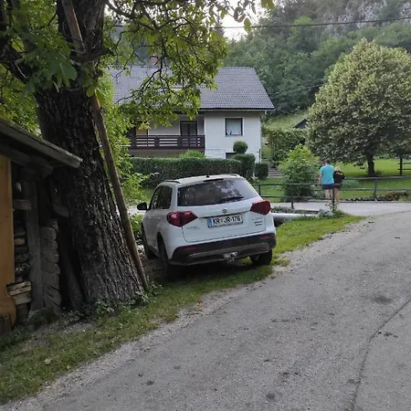 Zelena Hisa Pri Bjov